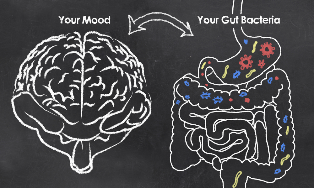 Gut Microbiome and Brain